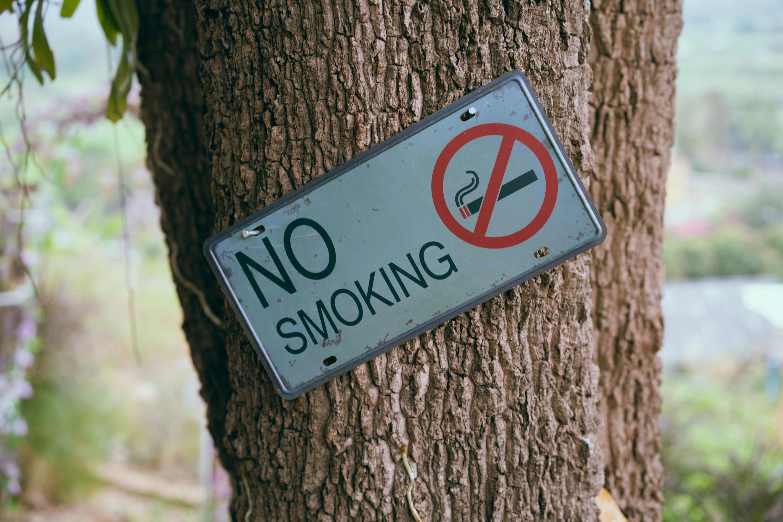 Pexels Markus Winkler 1430818 12460103 - No smoking