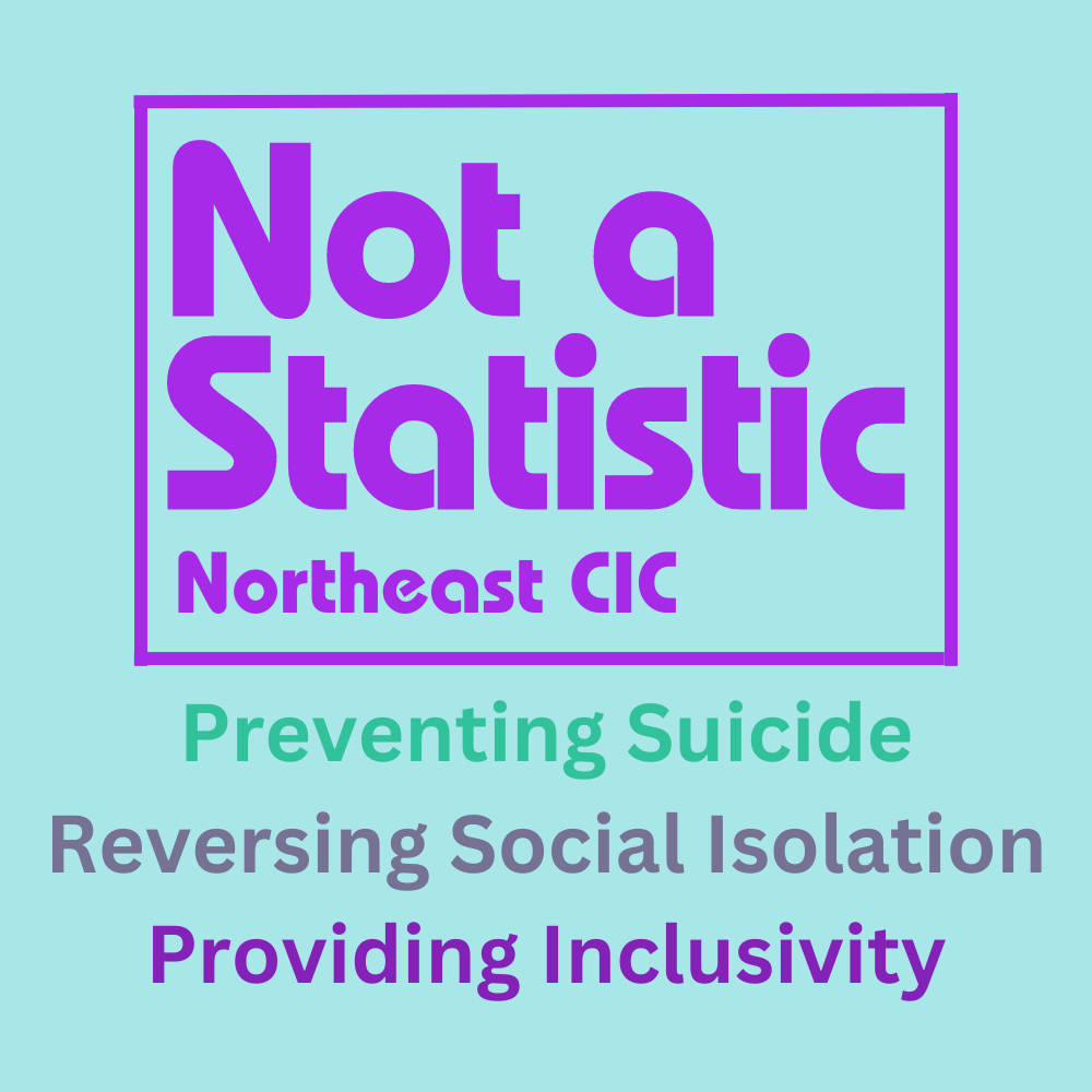 Not A Statistic NE CIC Logo, Bright Blue Background, Purple Border containing Purple text 'NOT A STATISTIC Northeast CIC', Under logo text 'Preventing Suicide',Reversing Social Isolation, Providing Inclusivity.'