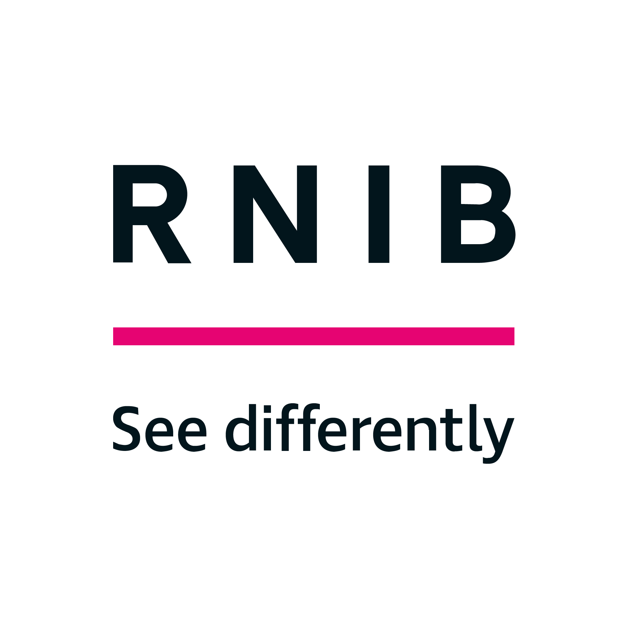 RNIB Logo 500x500px